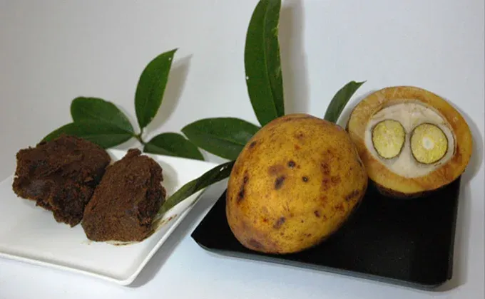 Manteiga de Bacuri (Platonia insignis)