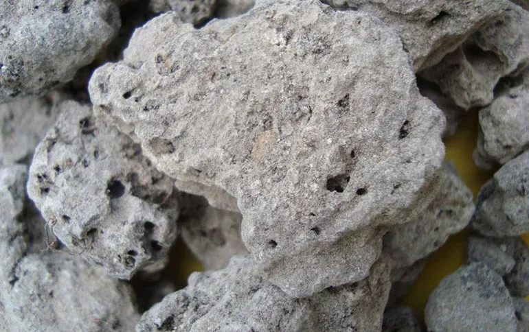 Breu Branco Resin - Protium heptaphyllum