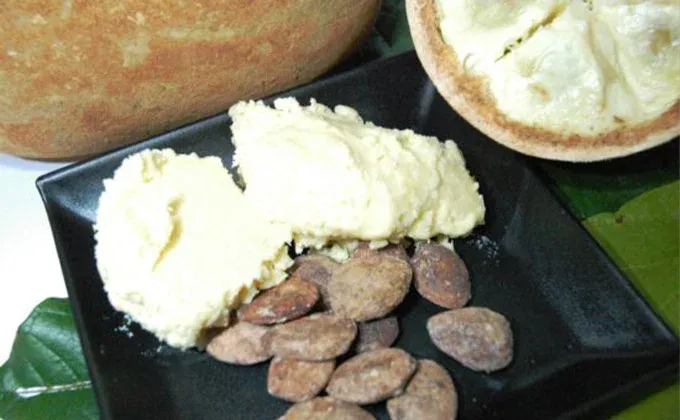 Manteiga de Cupuaçu - Theobroma grandiflorum
