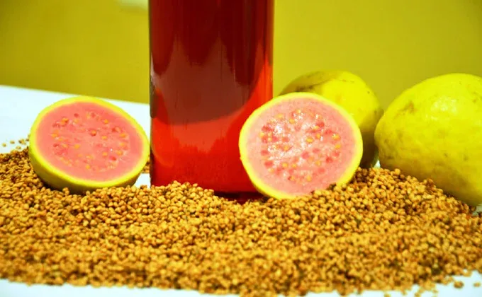 Óleo de Goiaba - Psidium guajava