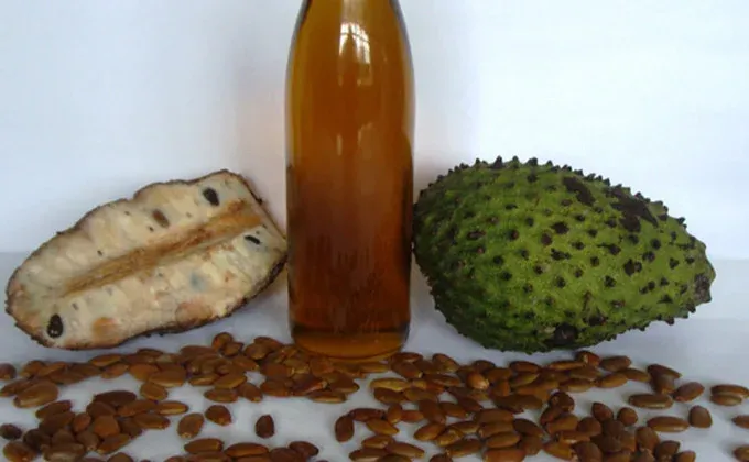 Óleo de Graviola - Annona muricata
