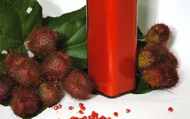 Frutos de urucum abertos ao lado de um frasco com o extrato vermelho