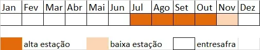 pataua-época-safra
