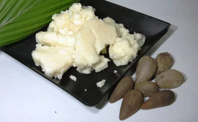 Manteiga de murumuru em pedaços sobre um prato preto, com as sementes ao lado